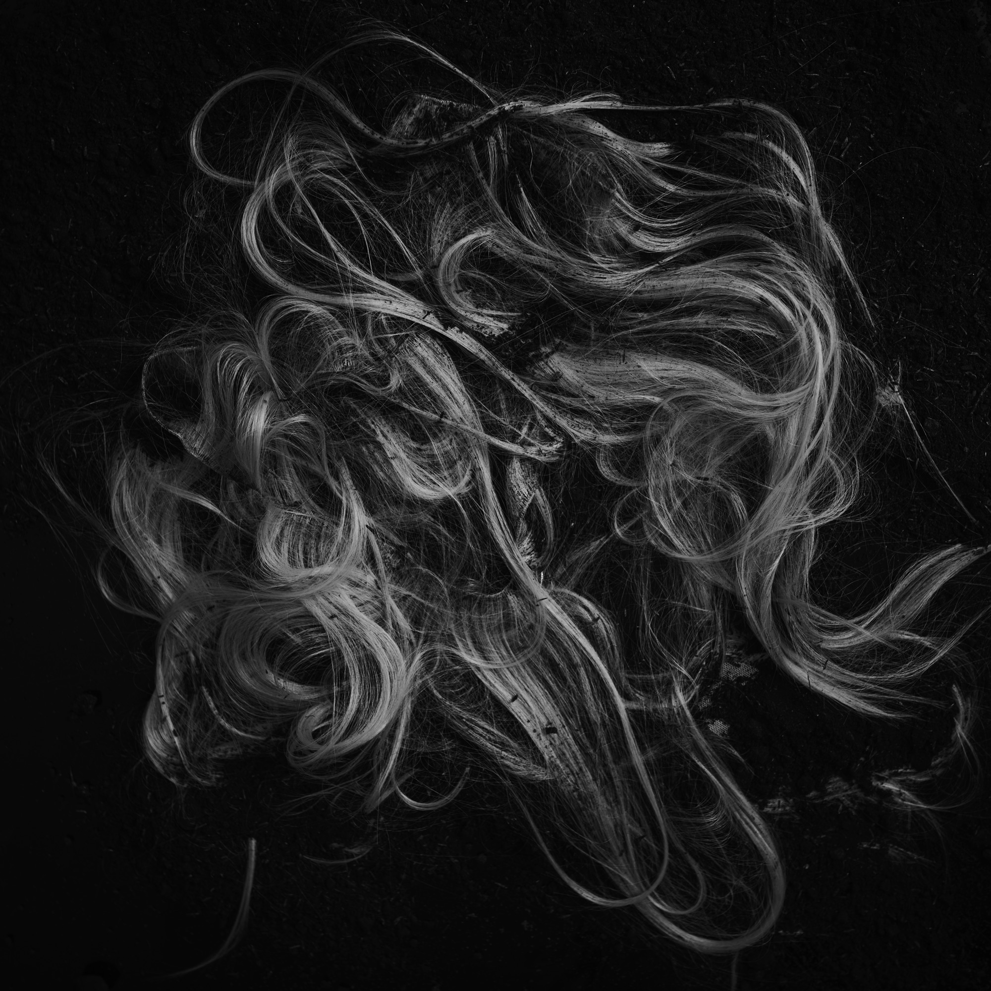 Cabello sobre la tierra