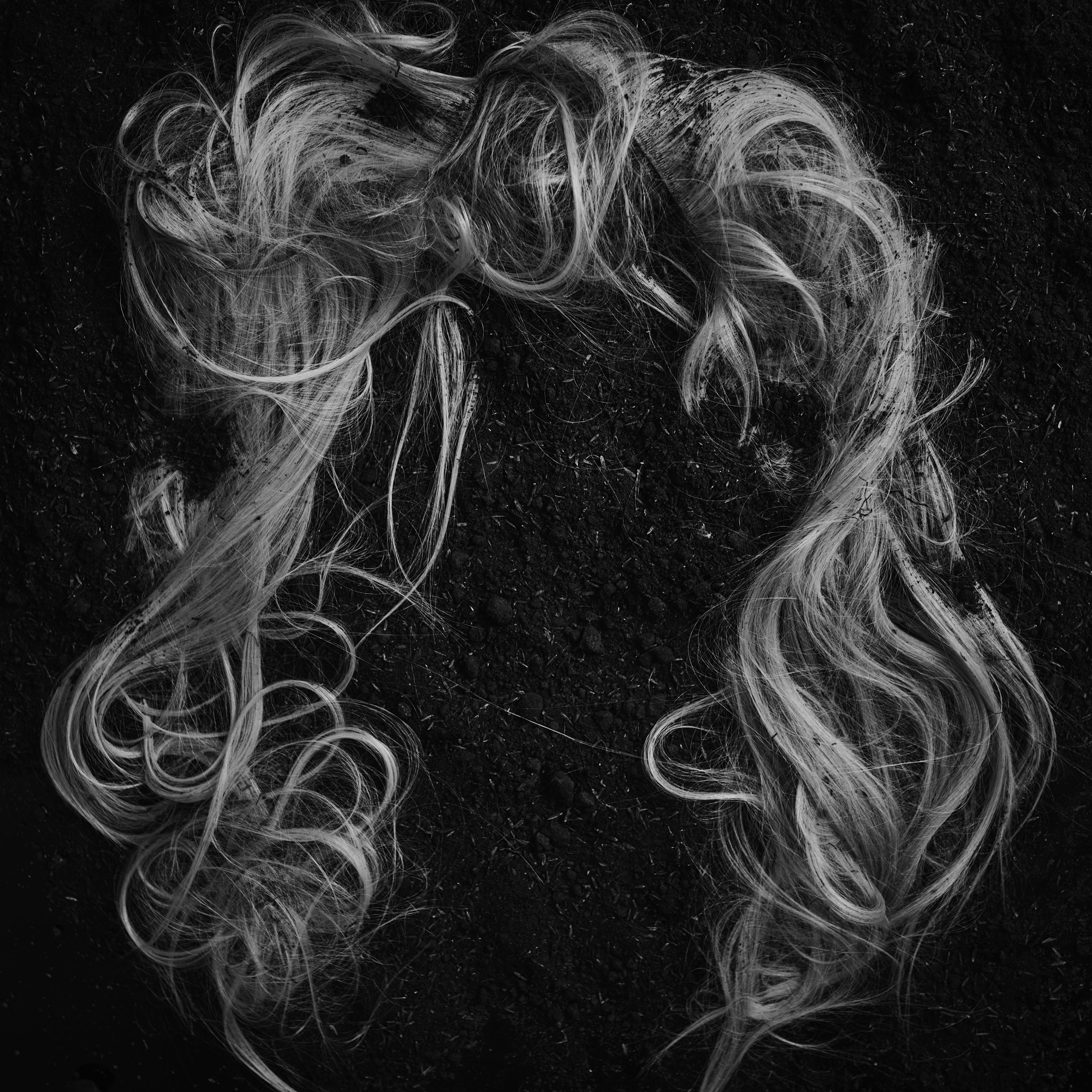 Cabello sobre la tierra