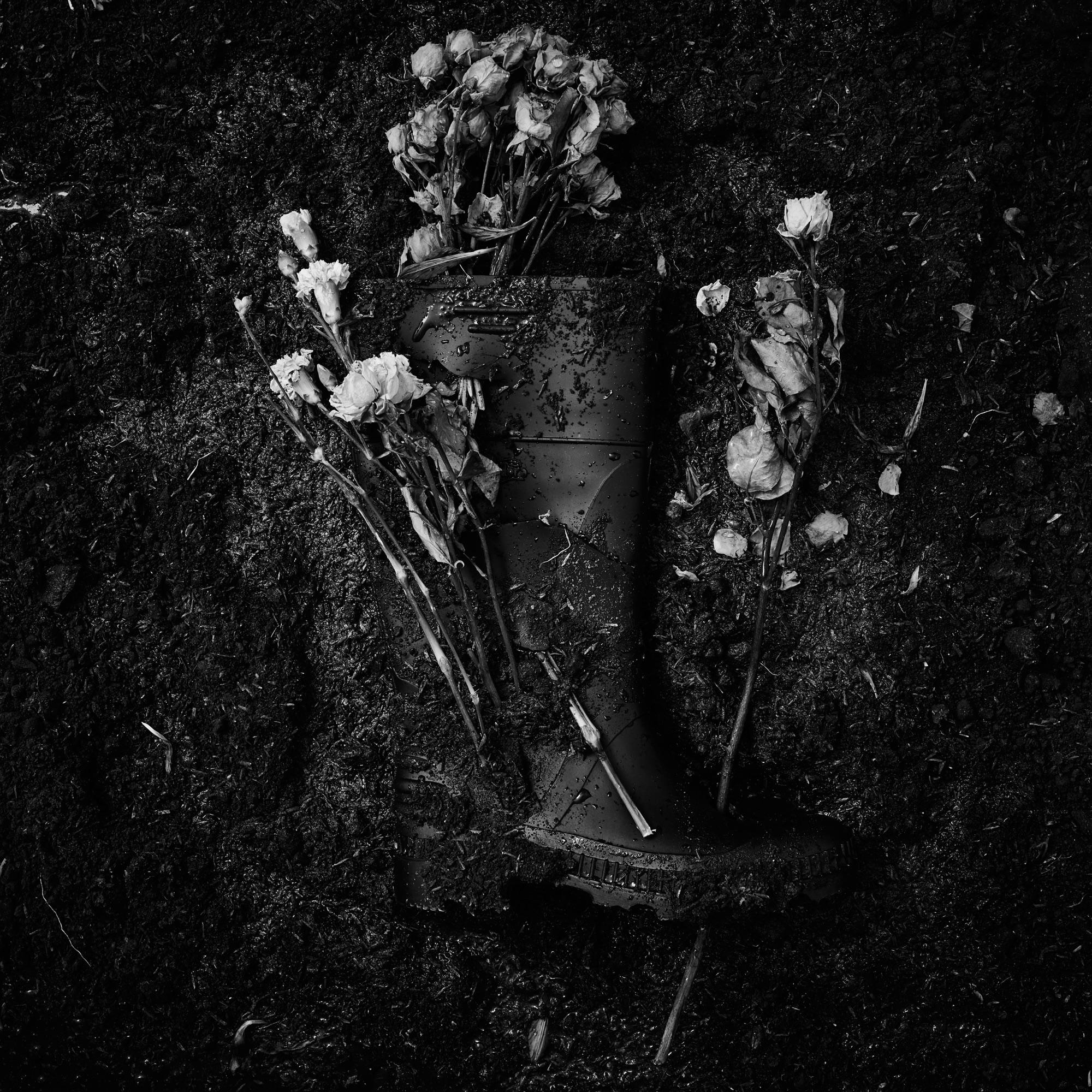 Flor en la tierra