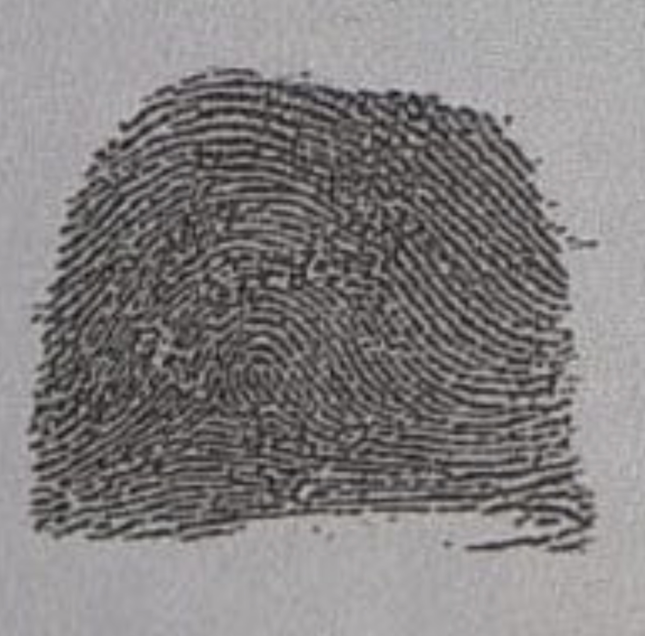Trace — printing exercise