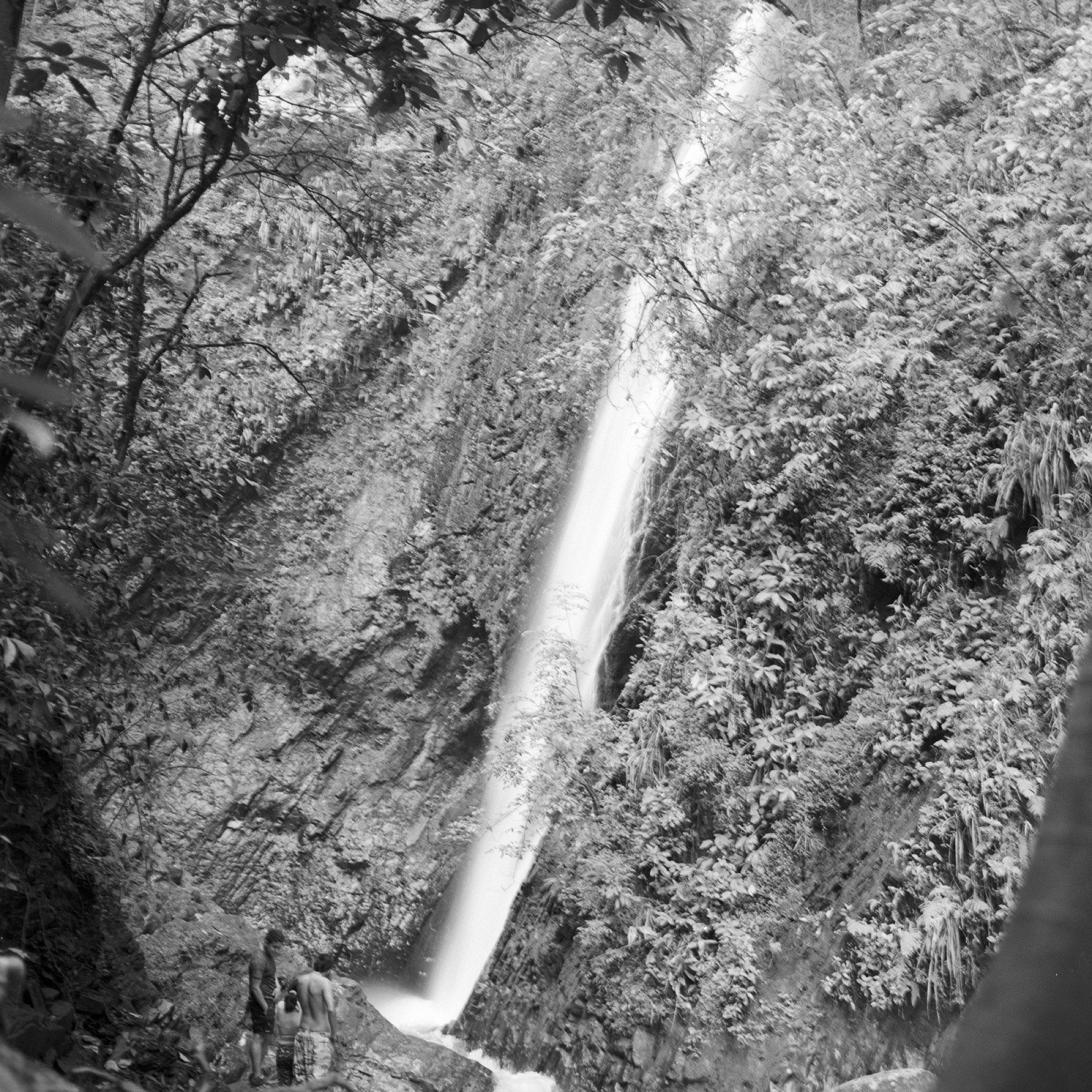 Waterfall in the forest, vertical light