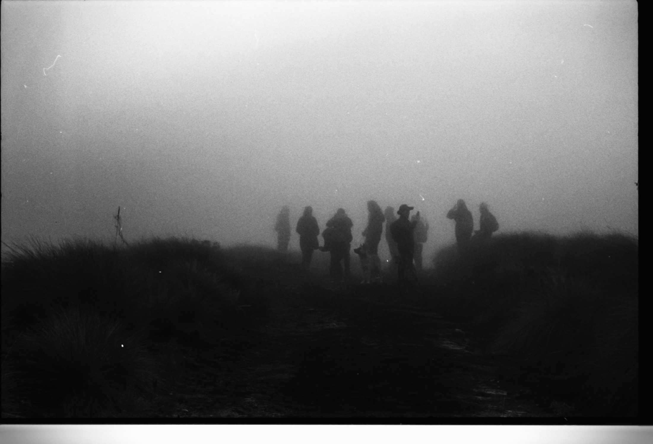 Silhouettes in the fog