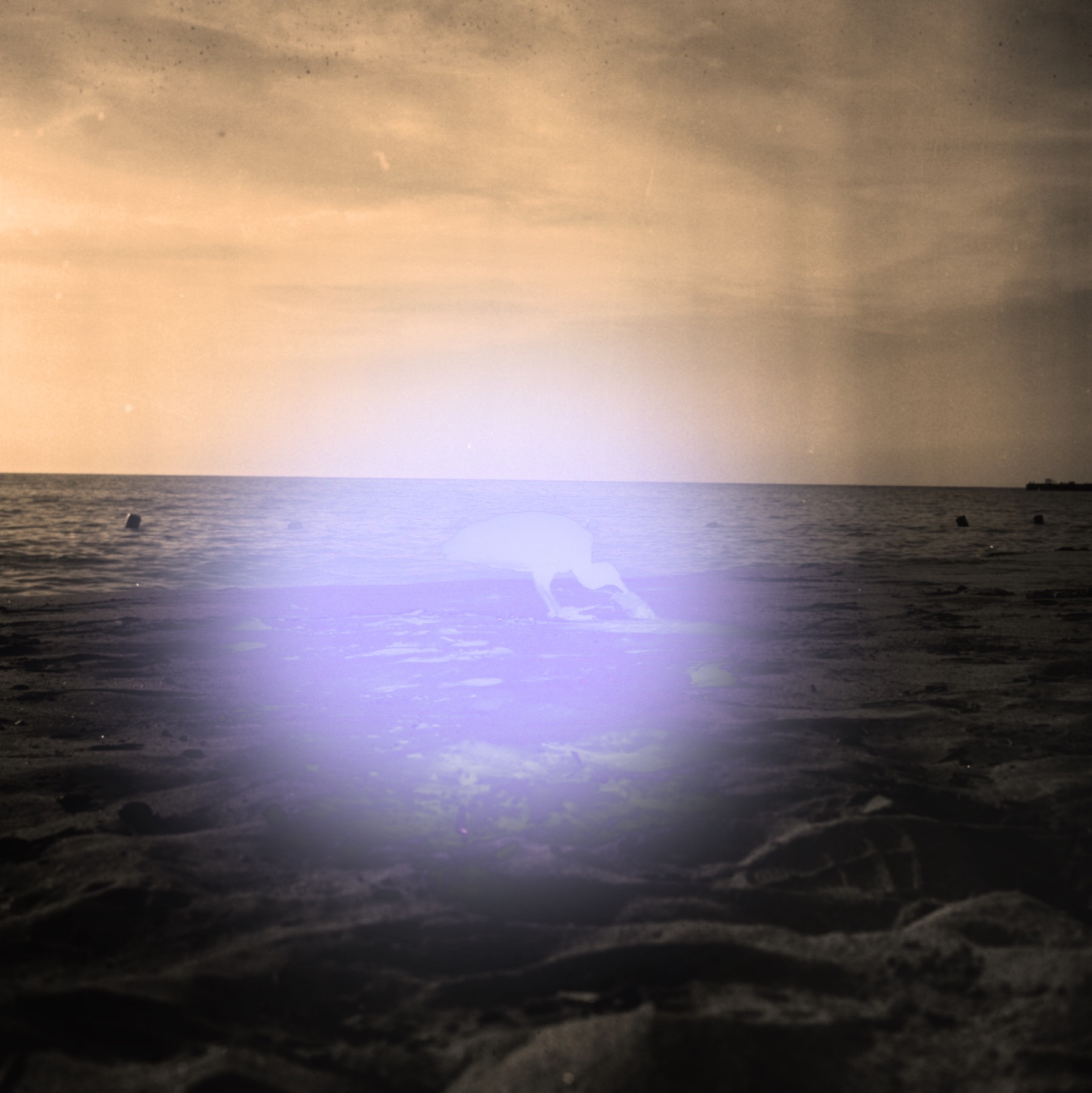 Dawn light