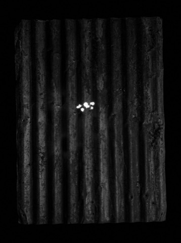Placa 029, carabina .22 (simulación)